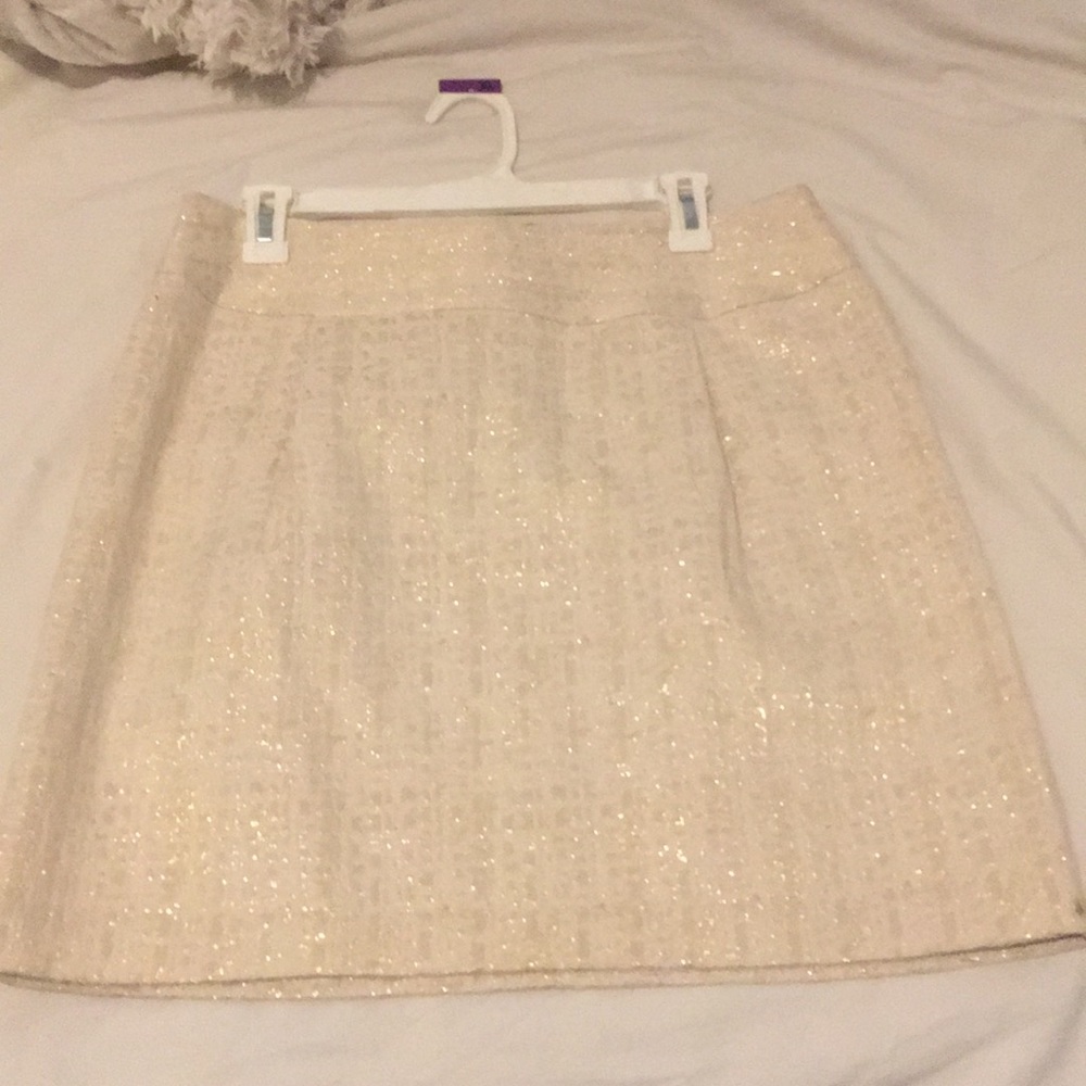 Merona skirt size 10